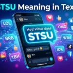 stsu meaning in text